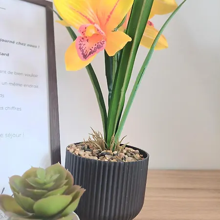 Lägenhet Le Clos Carnot 7 - Proche Commodites *